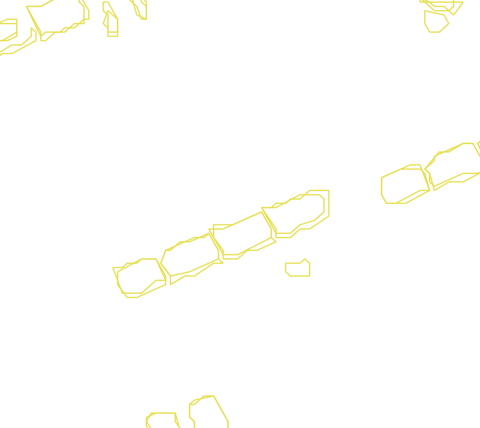 Daksegment met contourlijnen en structuurweergave