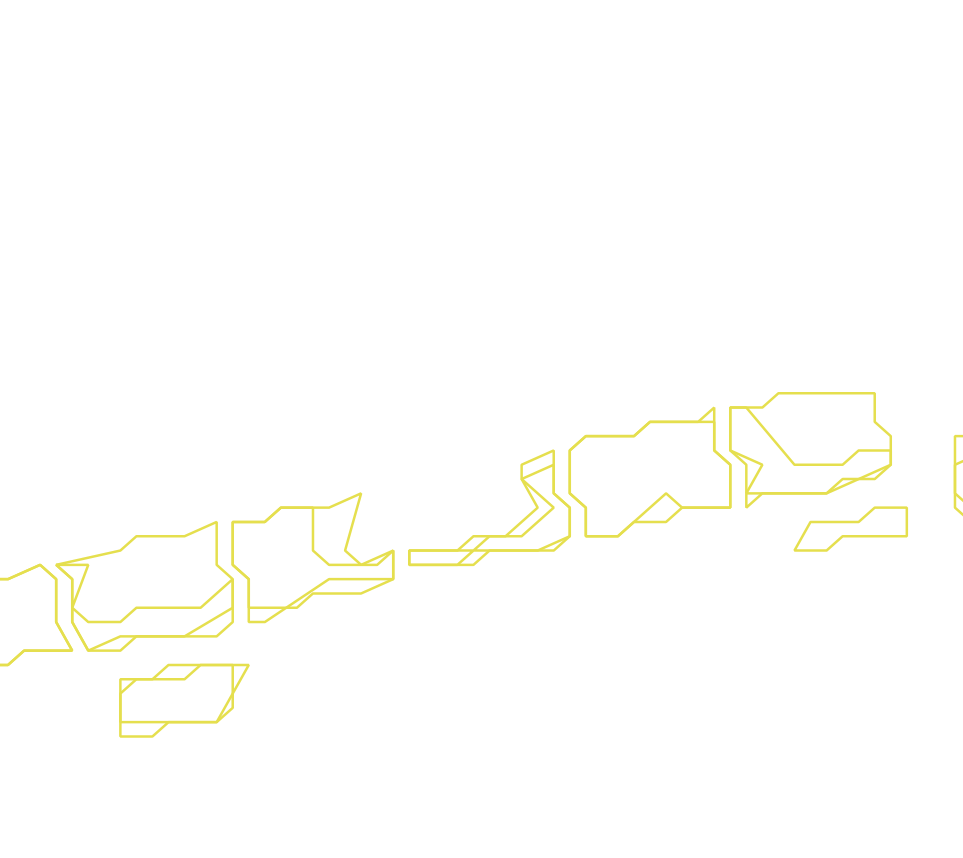 Daksegment ingezoomd met contourlijnen en structuurweergave
