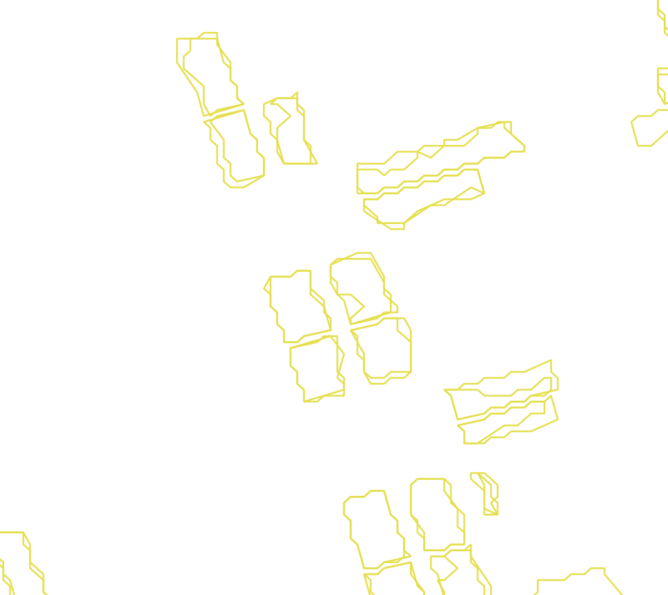 Daksegment met contourlijnen en structuurweergave