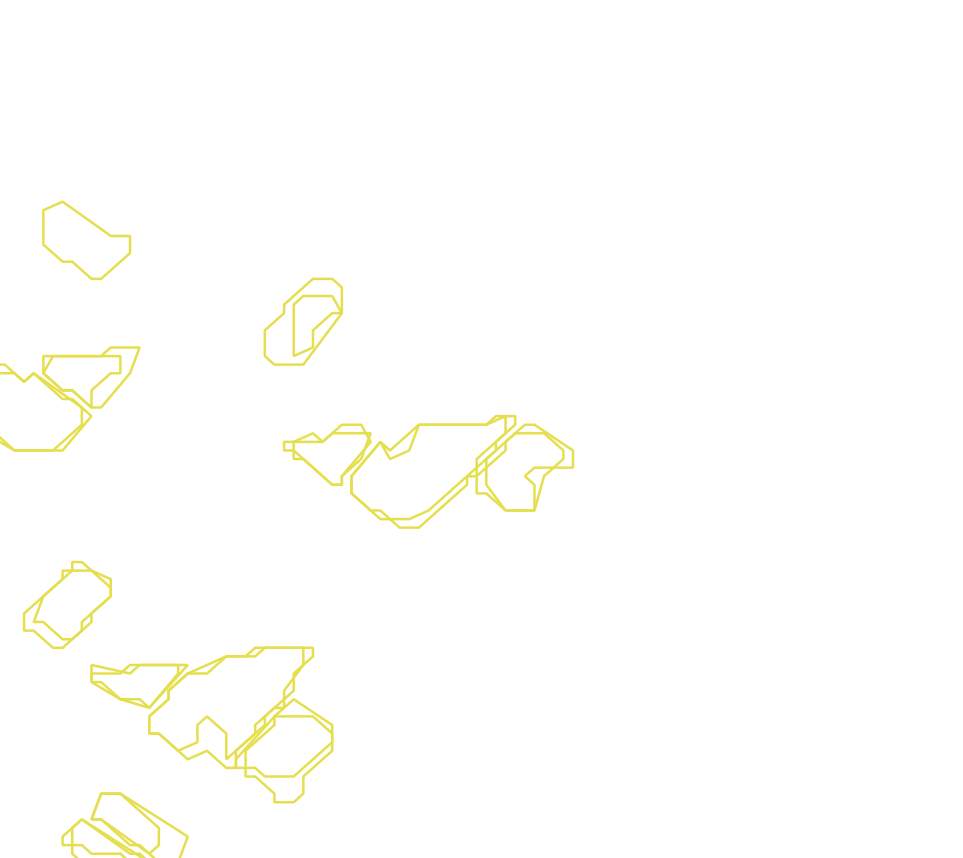 Daksegment met contourlijnen en structuurweergave