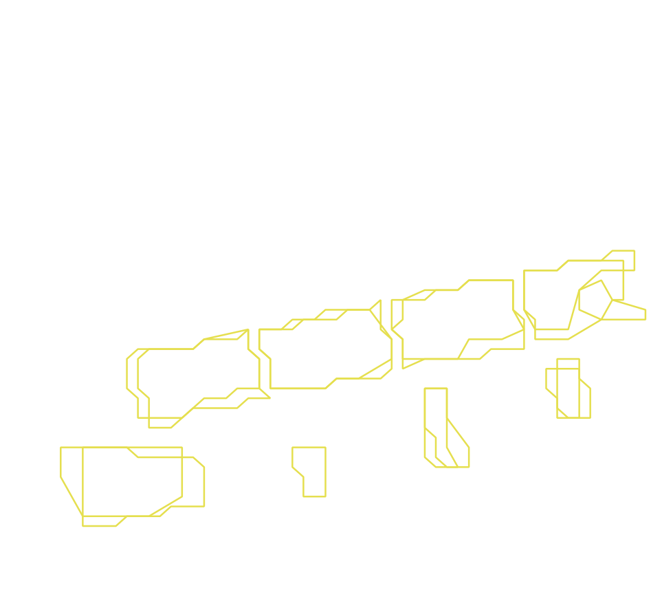Daksegment ingezoomd met contourlijnen en structuurweergave