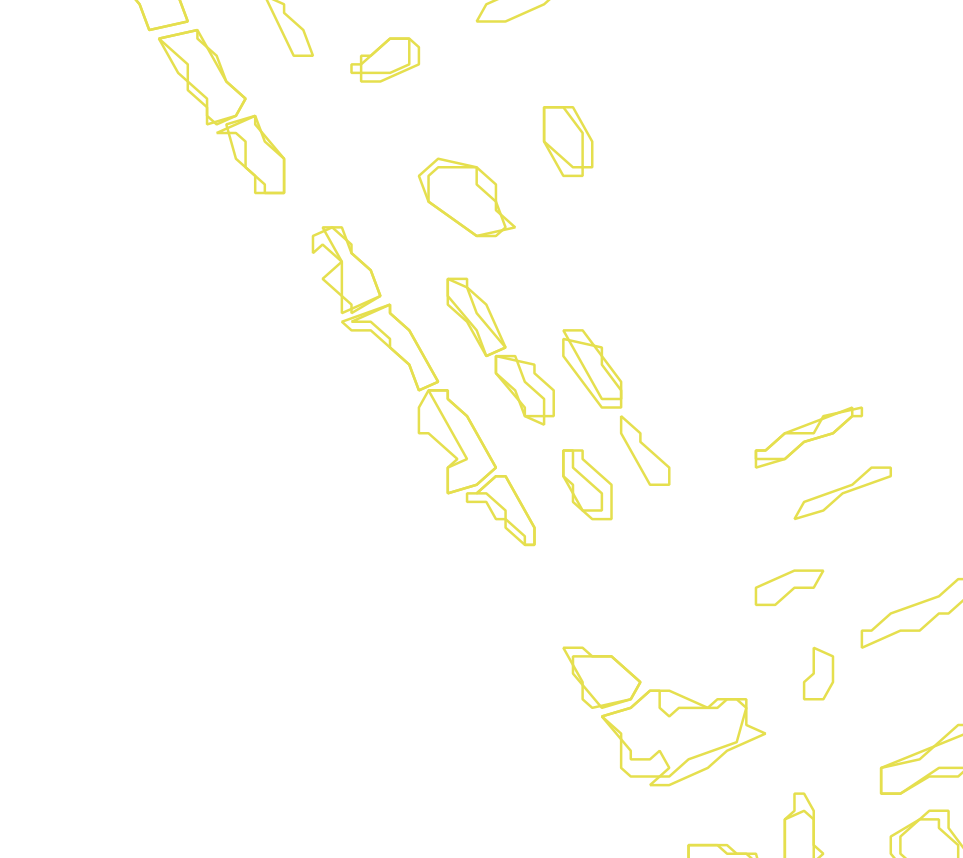 Daksegment met contourlijnen en structuurweergave