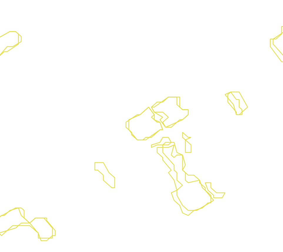 Daksegment met contourlijnen en structuurweergave