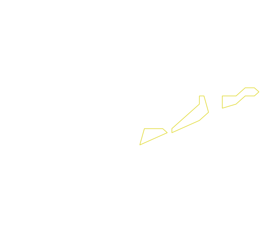 Daksegment ingezoomd met contourlijnen en structuurweergave