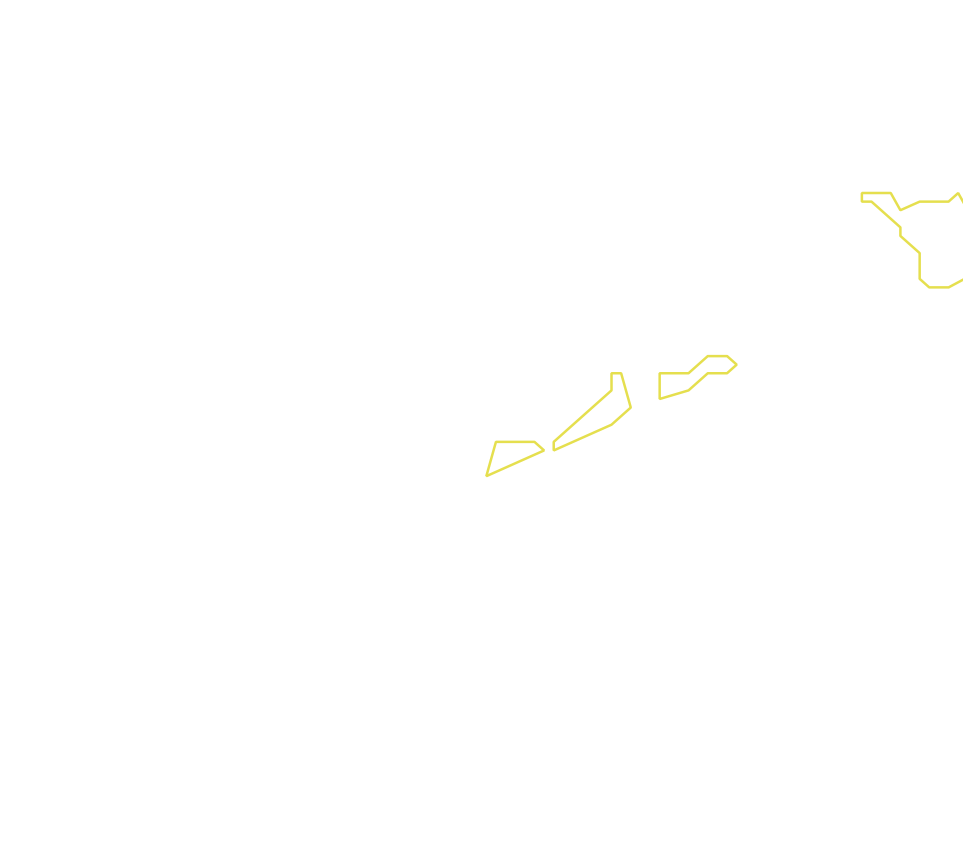 Daksegment met contourlijnen en structuurweergave