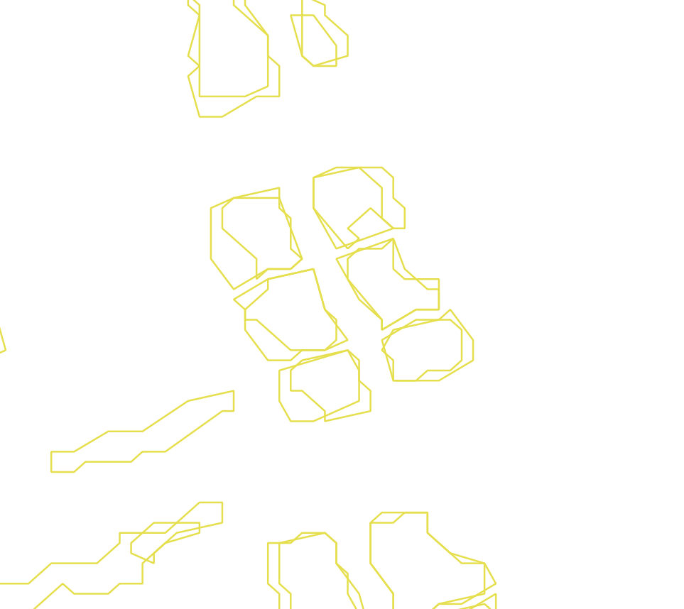 Daksegment ingezoomd met contourlijnen en structuurweergave