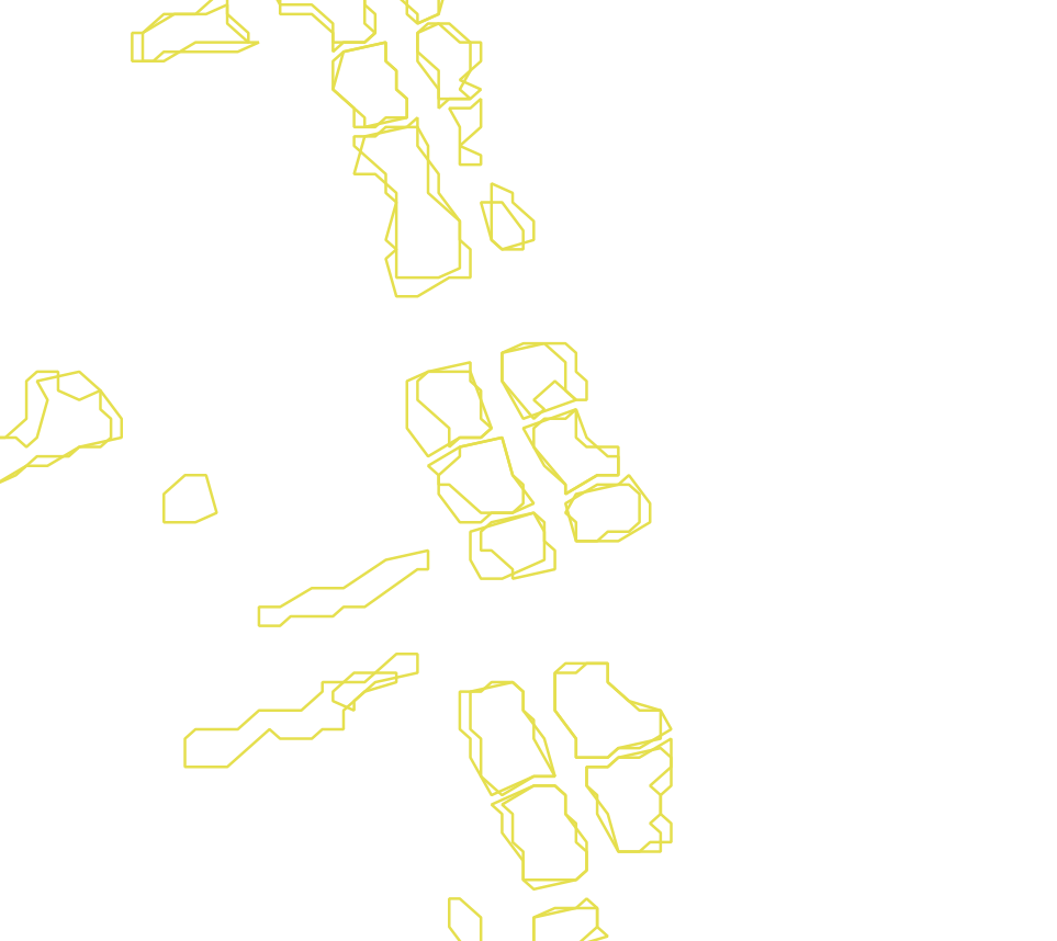 Daksegment met contourlijnen en structuurweergave