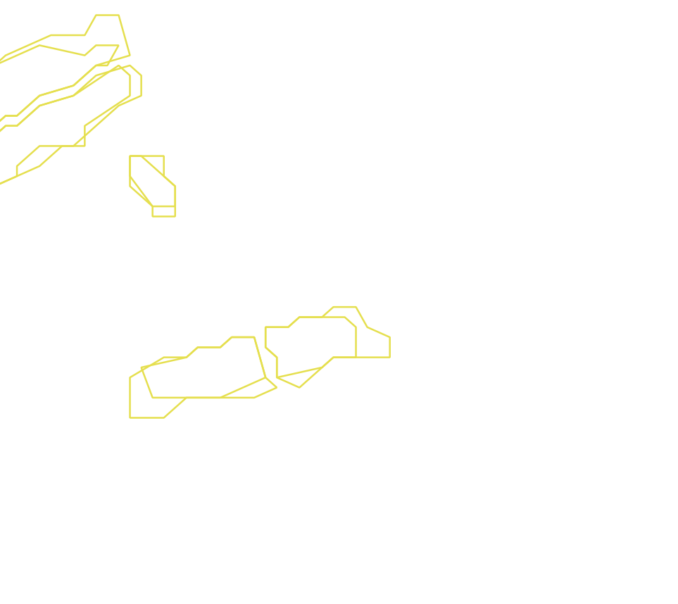 Daksegment ingezoomd met contourlijnen en structuurweergave