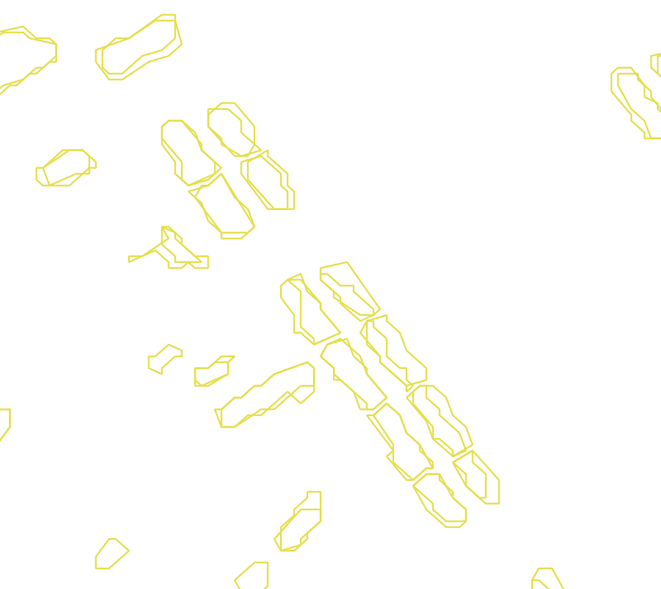 Daksegment met contourlijnen en structuurweergave