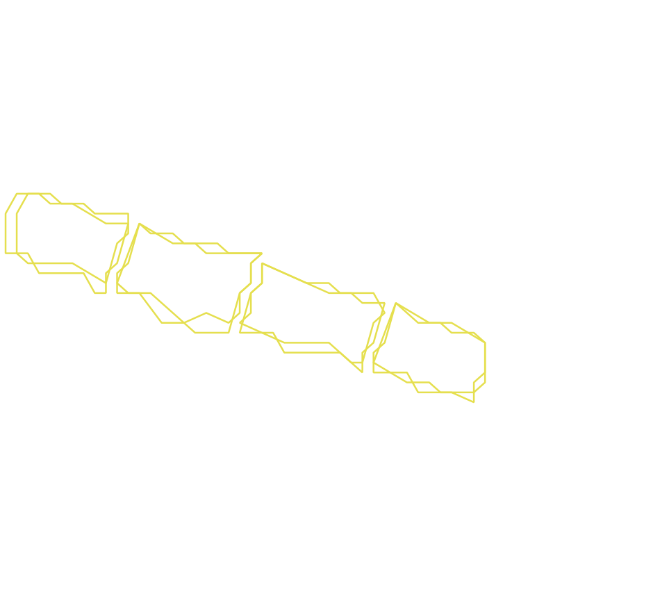 Daksegment ingezoomd met contourlijnen en structuurweergave