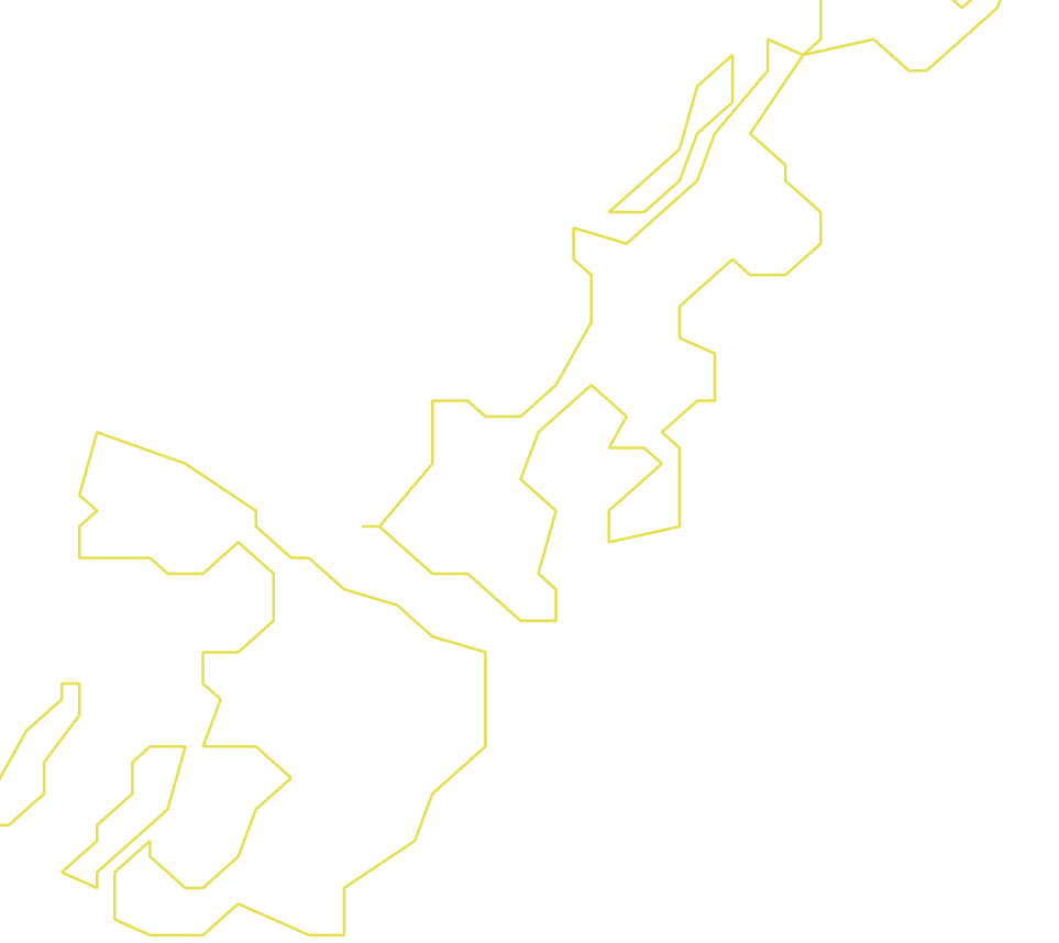 Daksegment ingezoomd met contourlijnen en structuurweergave