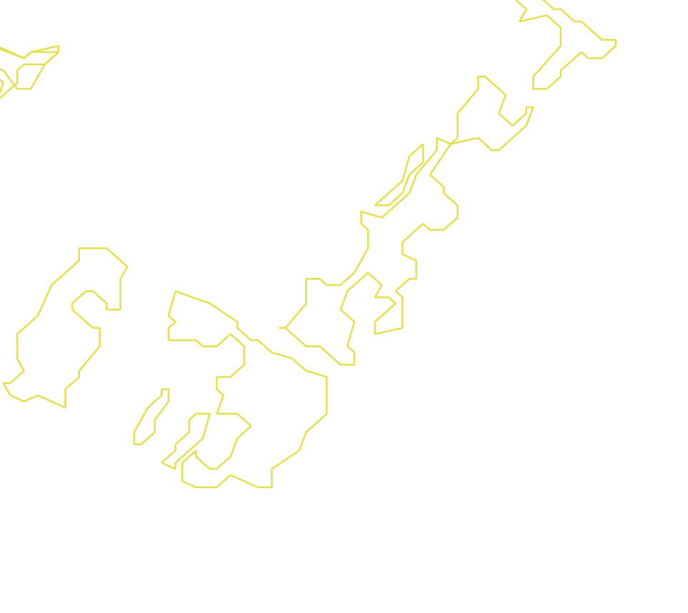 Daksegment met contourlijnen en structuurweergave