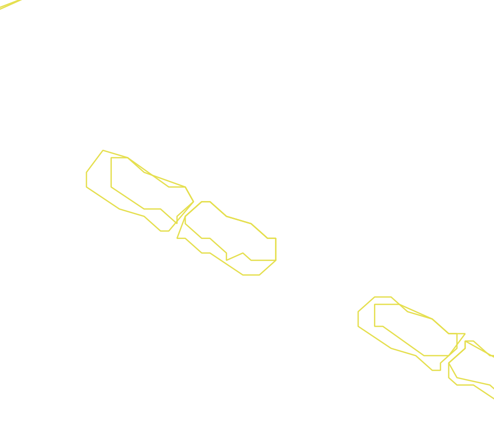 Daksegment ingezoomd met contourlijnen en structuurweergave