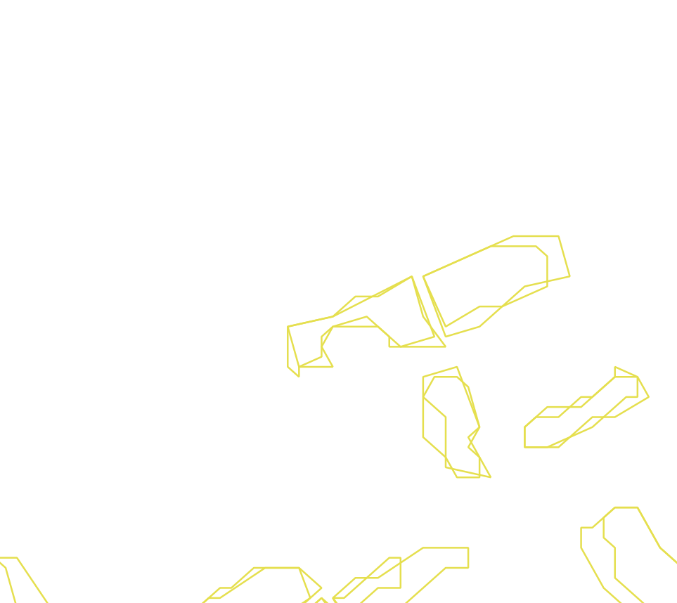 Daksegment ingezoomd met contourlijnen en structuurweergave