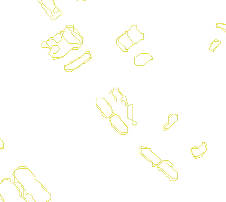 Daksegment met contourlijnen en structuurweergave