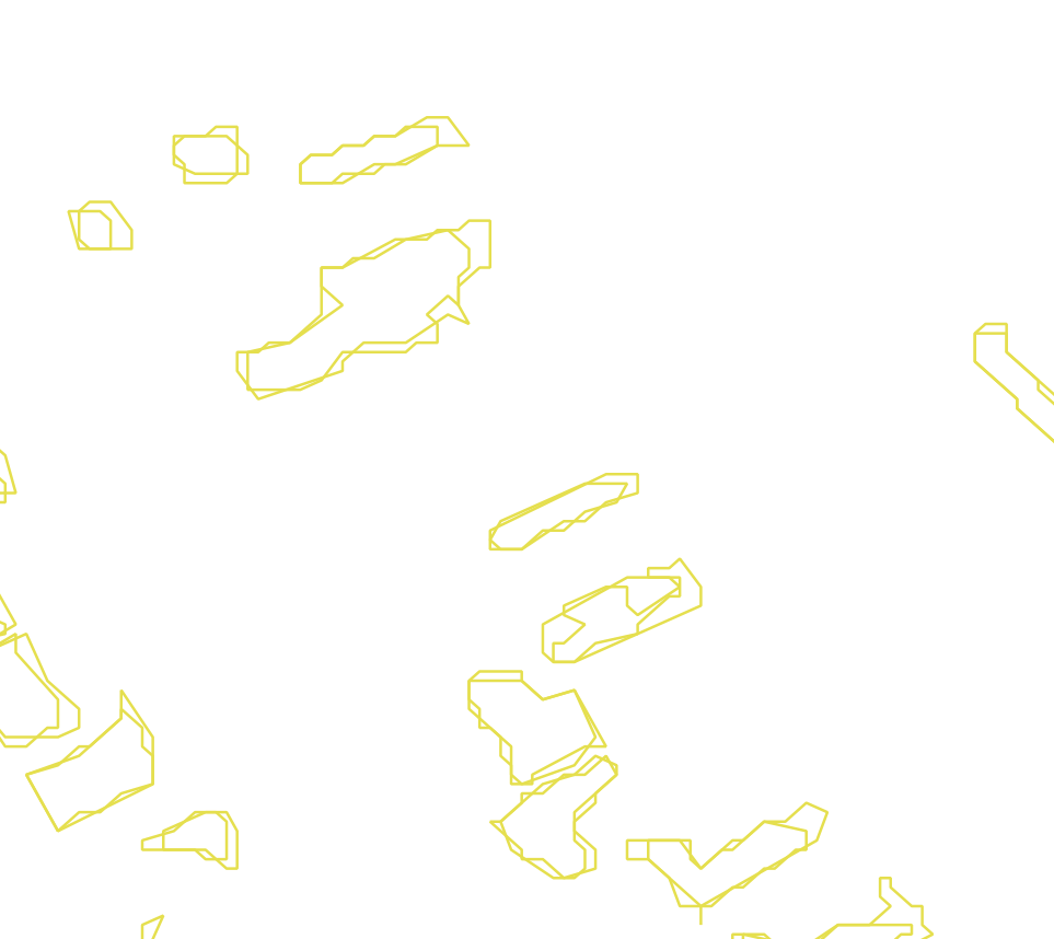 Daksegment met contourlijnen en structuurweergave