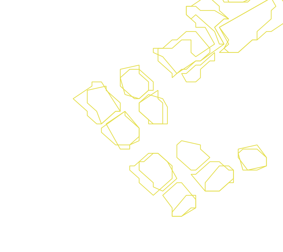 Daksegment ingezoomd met contourlijnen en structuurweergave