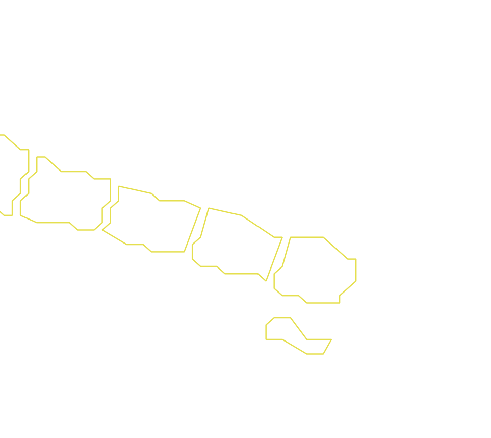 Daksegment ingezoomd met contourlijnen en structuurweergave