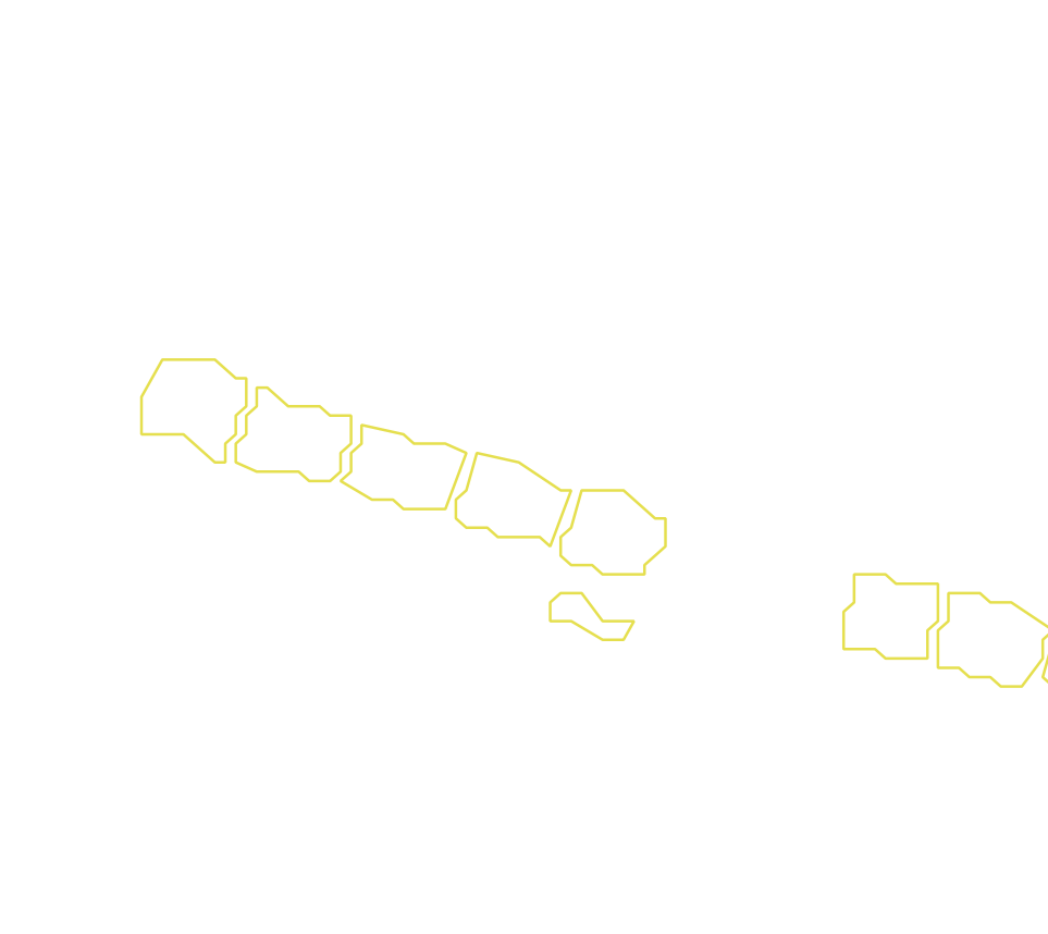Daksegment met contourlijnen en structuurweergave