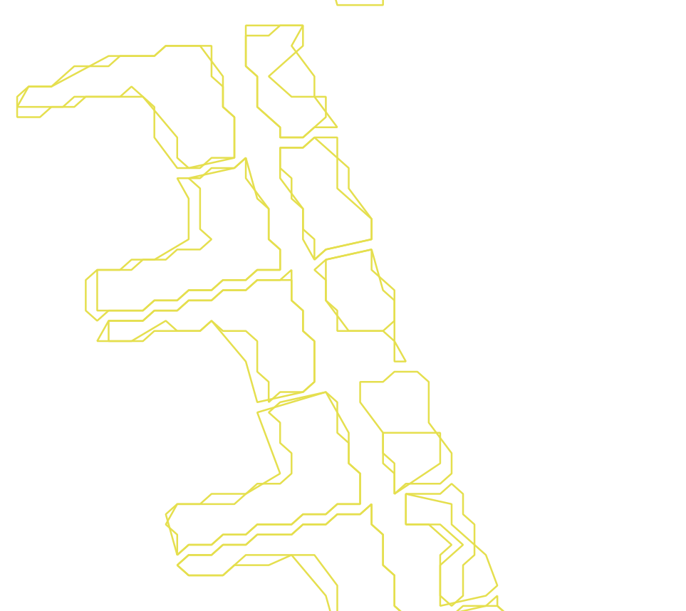 Daksegment ingezoomd met contourlijnen en structuurweergave
