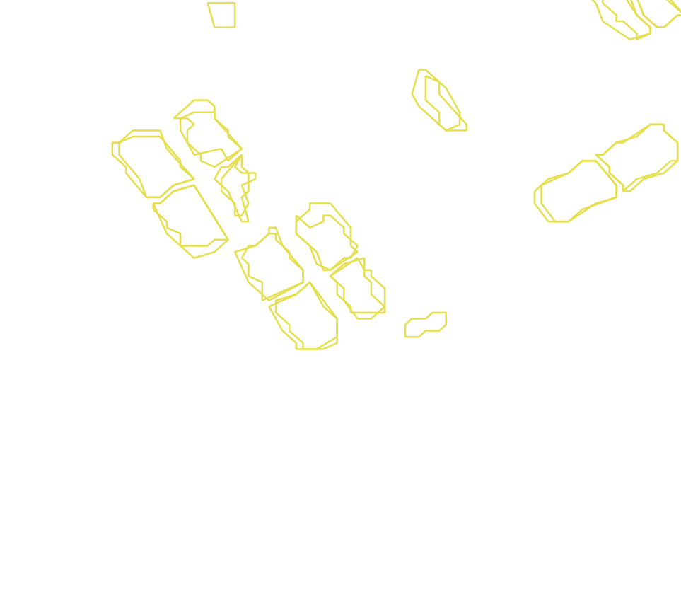Daksegment met contourlijnen en structuurweergave