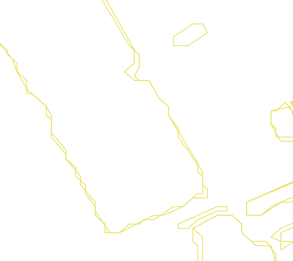 Daksegment ingezoomd met contourlijnen en structuurweergave