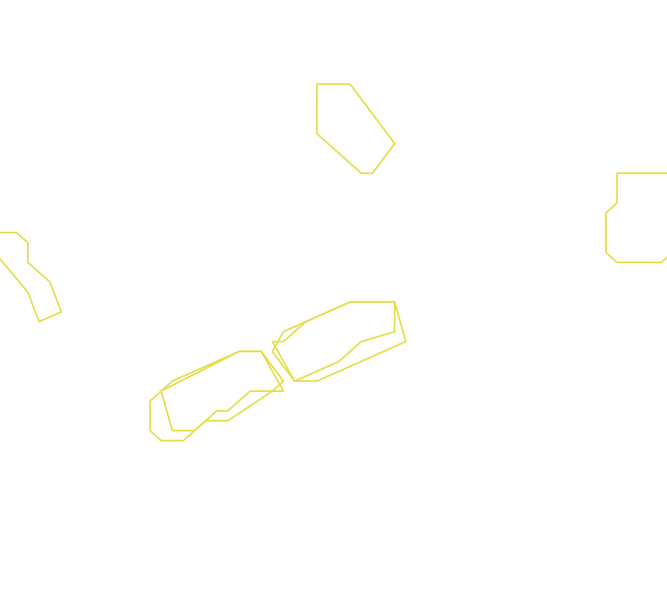 Daksegment ingezoomd met contourlijnen en structuurweergave