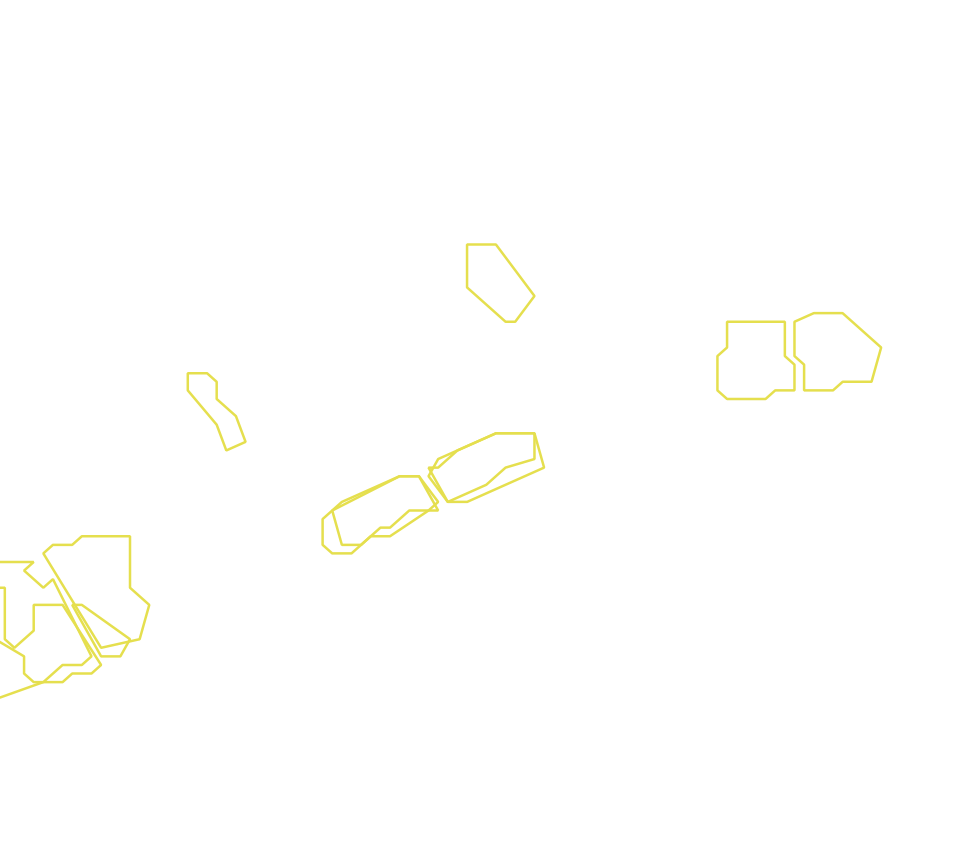 Daksegment met contourlijnen en structuurweergave