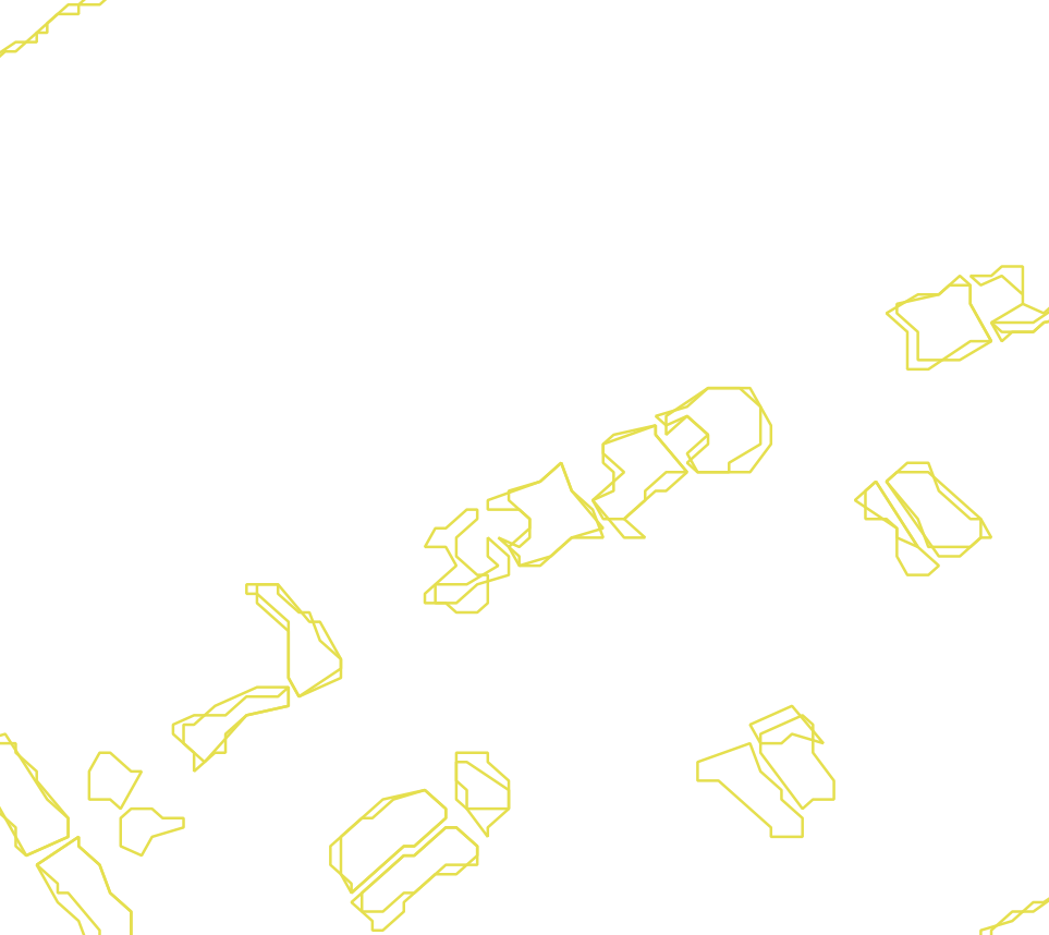 Daksegment met contourlijnen en structuurweergave