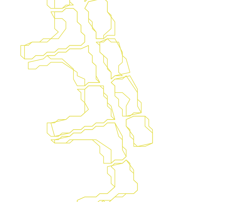 Daksegment ingezoomd met contourlijnen en structuurweergave