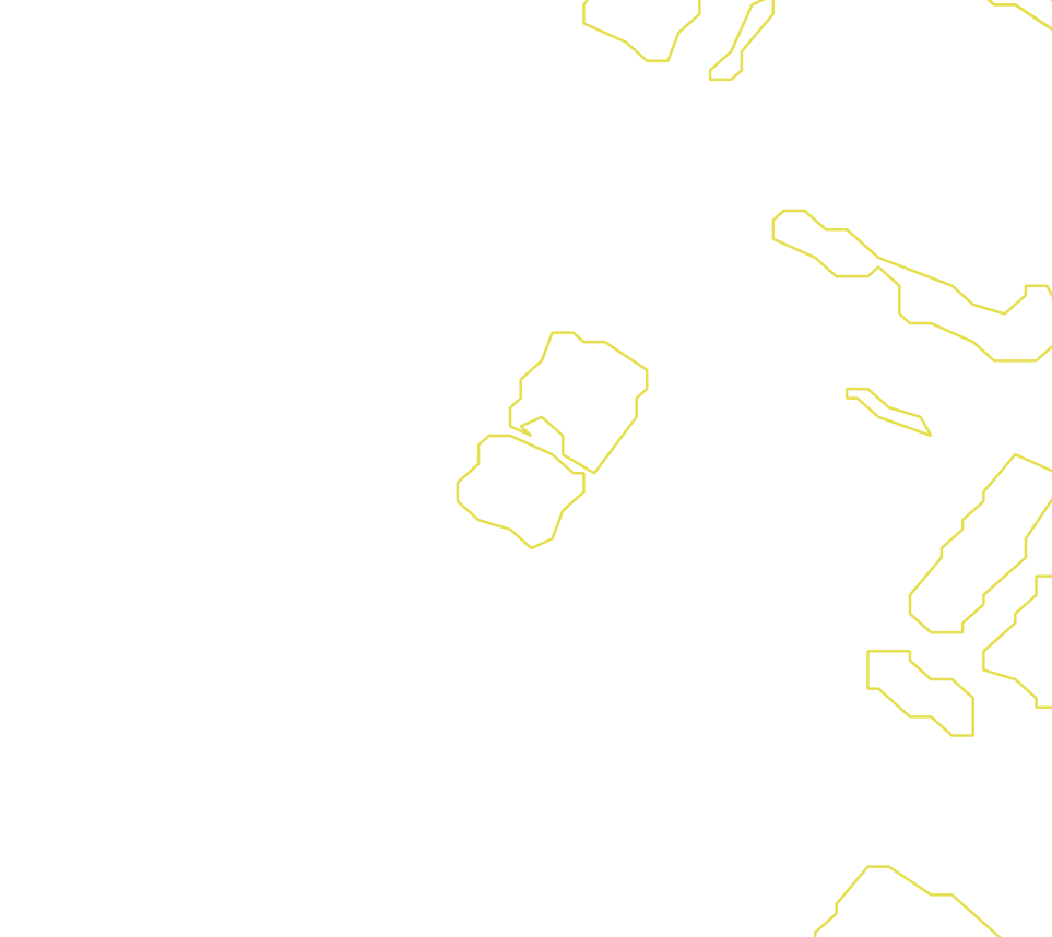 Daksegment met contourlijnen en structuurweergave