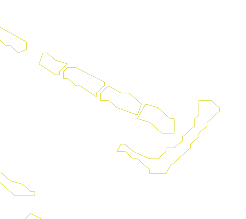Daksegment ingezoomd met contourlijnen en structuurweergave