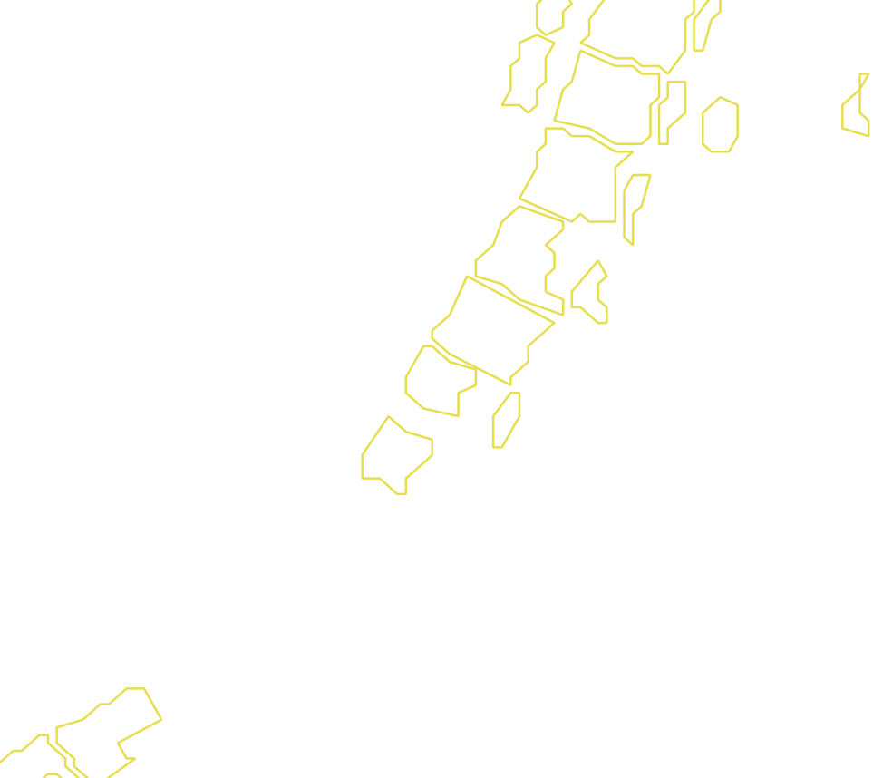 Daksegment met contourlijnen en structuurweergave