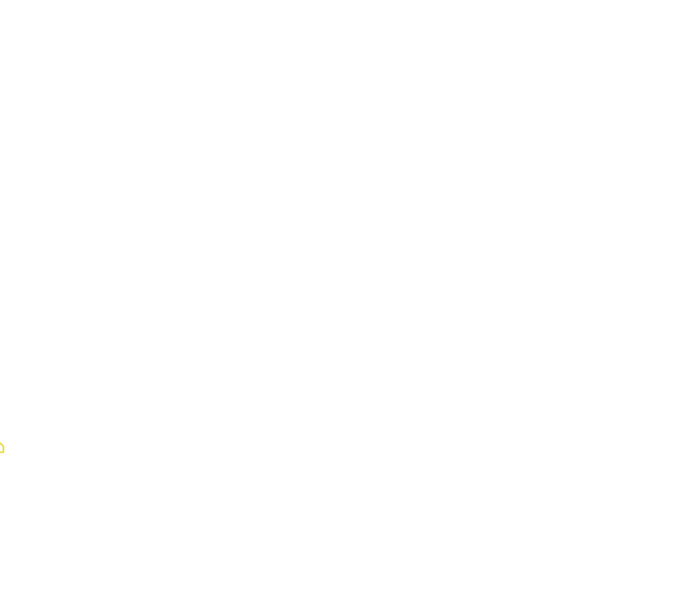 Daksegment met contourlijnen en structuurweergave