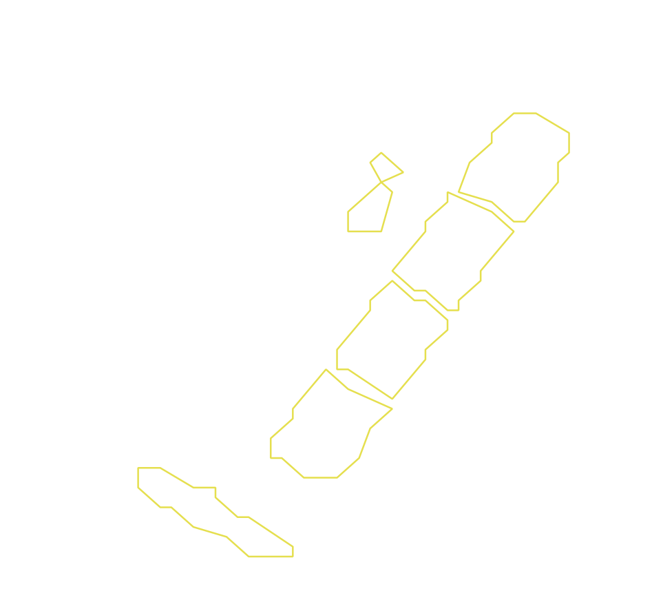 Daksegment ingezoomd met contourlijnen en structuurweergave