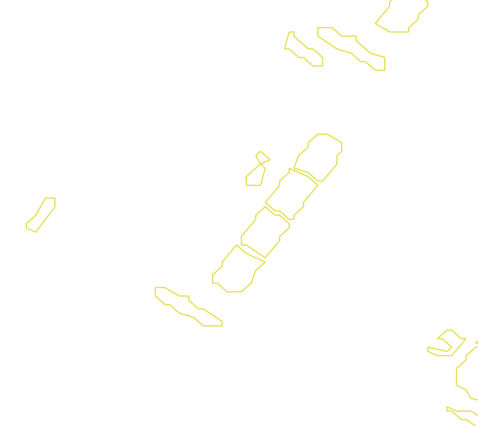 Daksegment met contourlijnen en structuurweergave