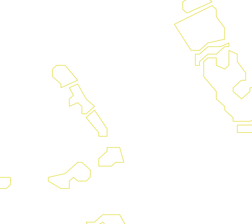 Daksegment ingezoomd met contourlijnen en structuurweergave