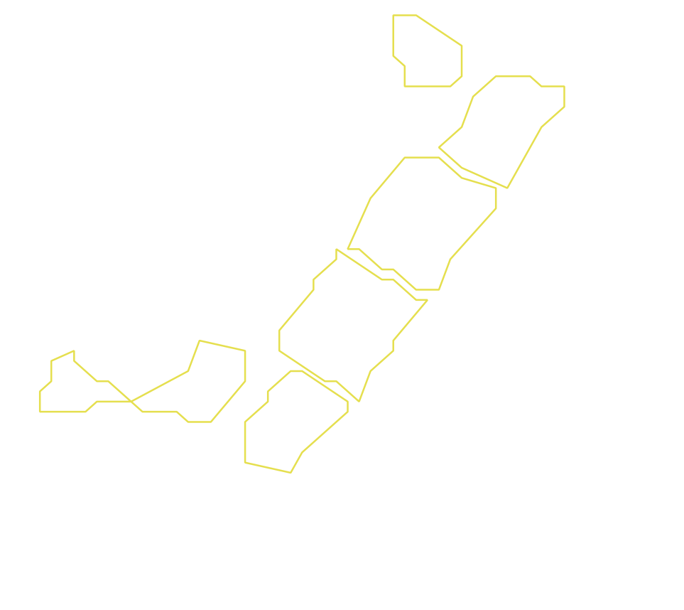 Daksegment ingezoomd met contourlijnen en structuurweergave