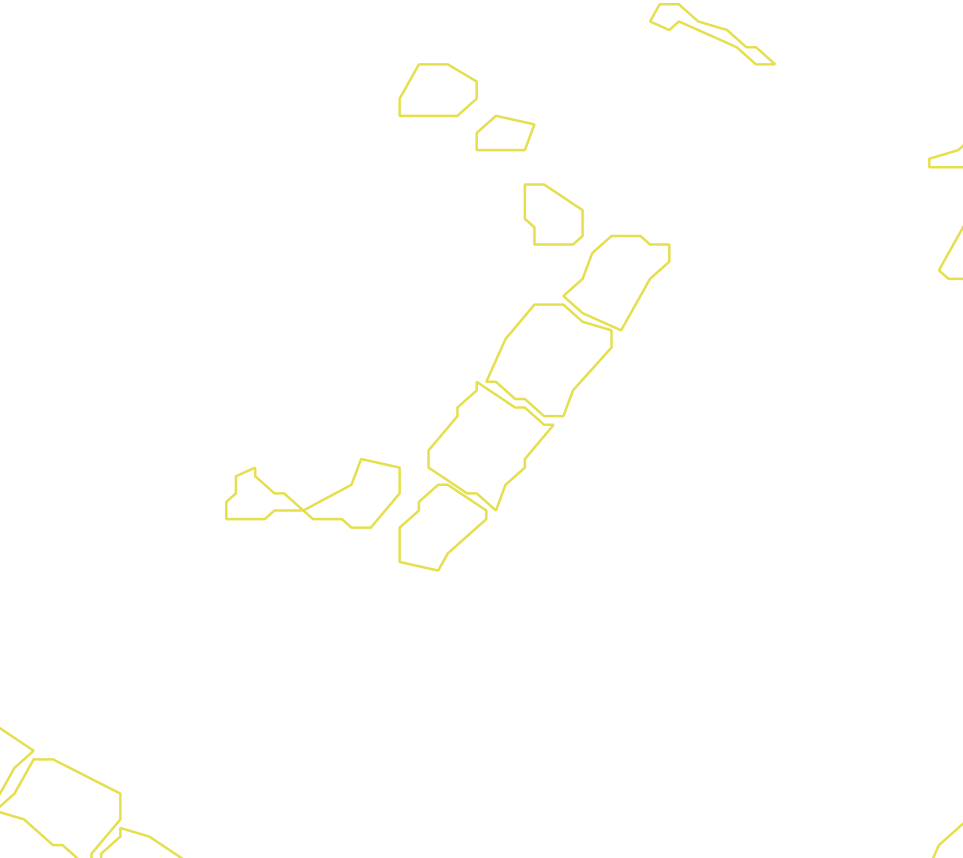 Daksegment met contourlijnen en structuurweergave