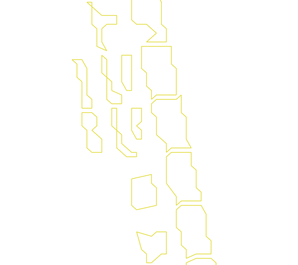 Daksegment ingezoomd met contourlijnen en structuurweergave