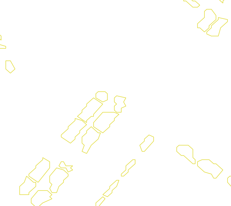 Daksegment met contourlijnen en structuurweergave