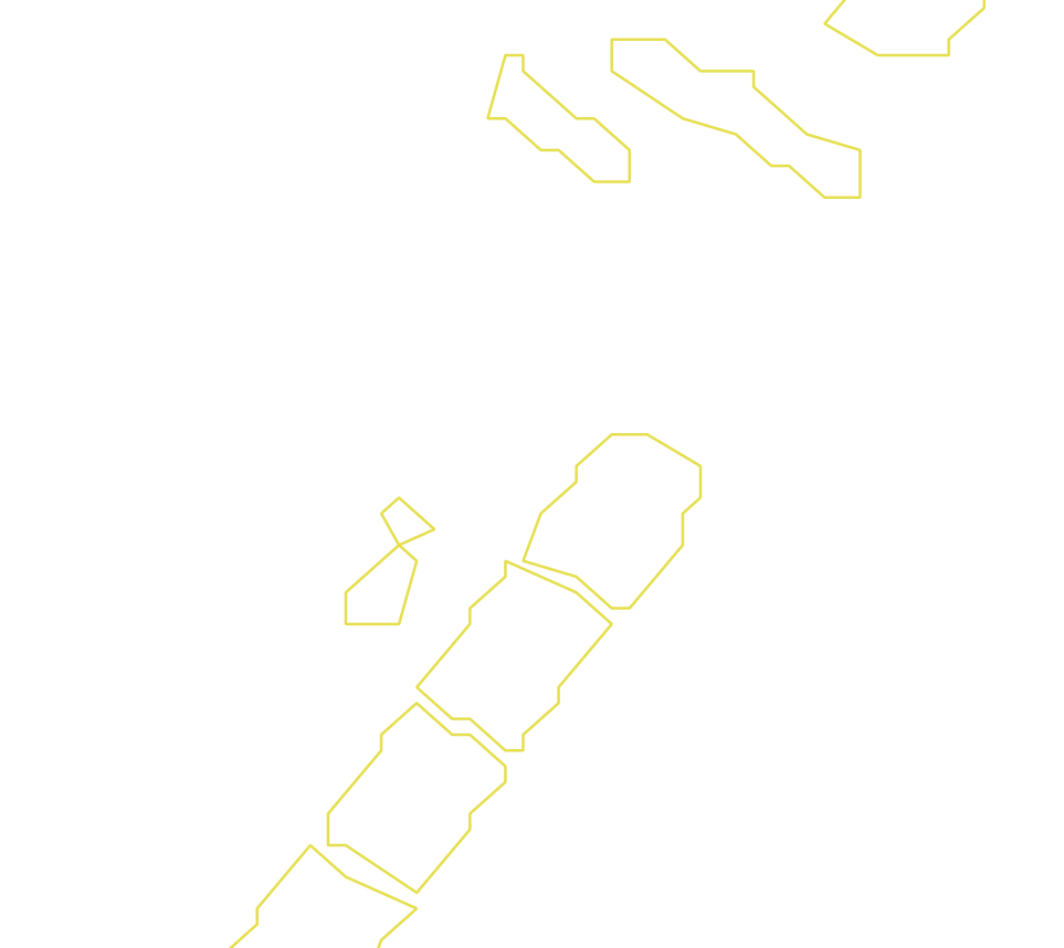 Daksegment ingezoomd met contourlijnen en structuurweergave