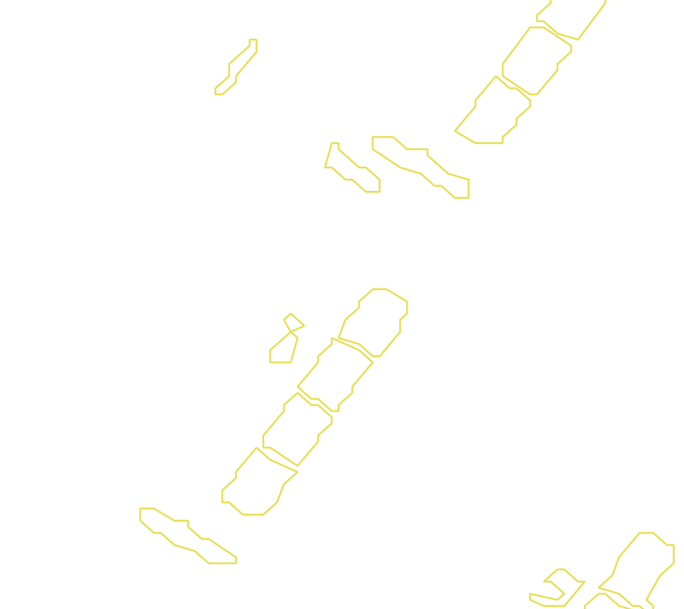 Daksegment met contourlijnen en structuurweergave