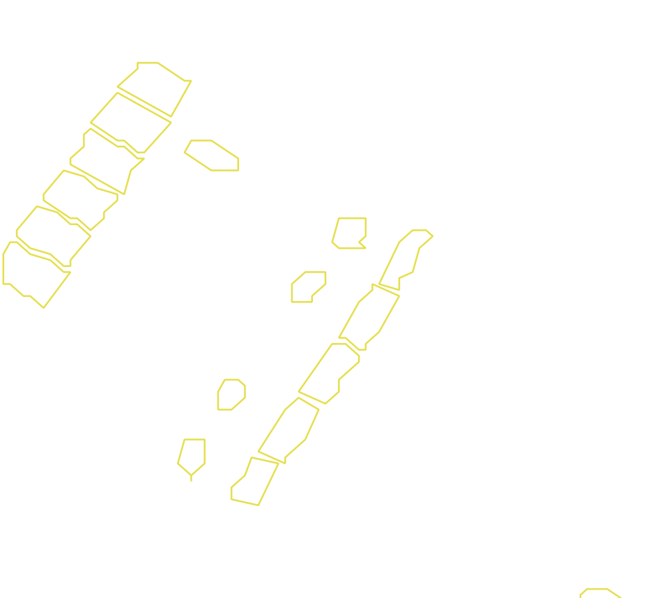 Daksegment met contourlijnen en structuurweergave