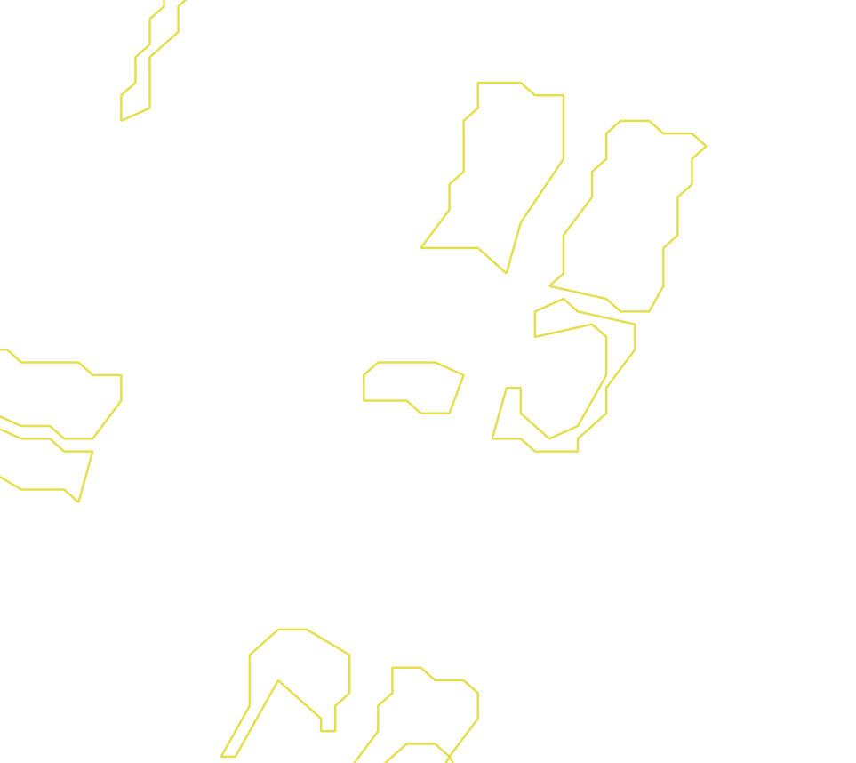 Daksegment ingezoomd met contourlijnen en structuurweergave
