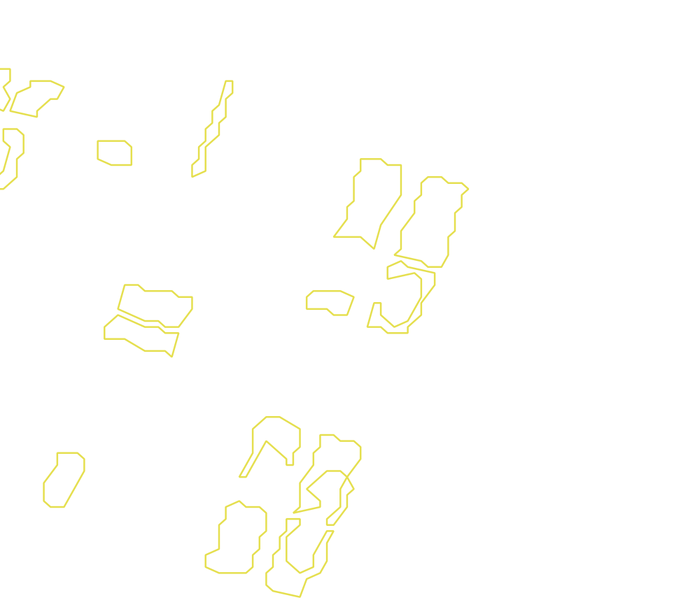 Daksegment met contourlijnen en structuurweergave