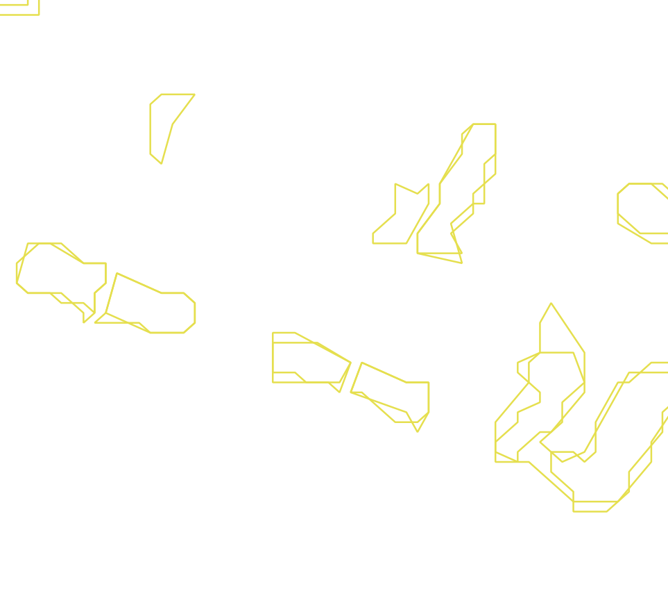 Daksegment ingezoomd met contourlijnen en structuurweergave
