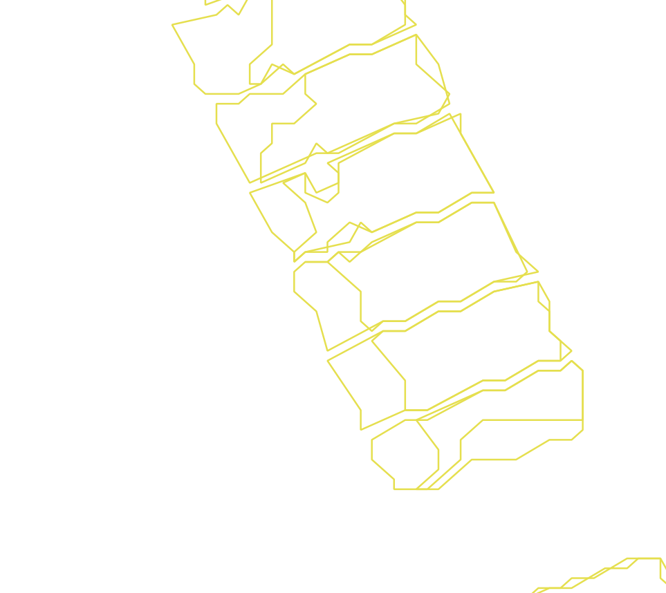 Daksegment ingezoomd met contourlijnen en structuurweergave