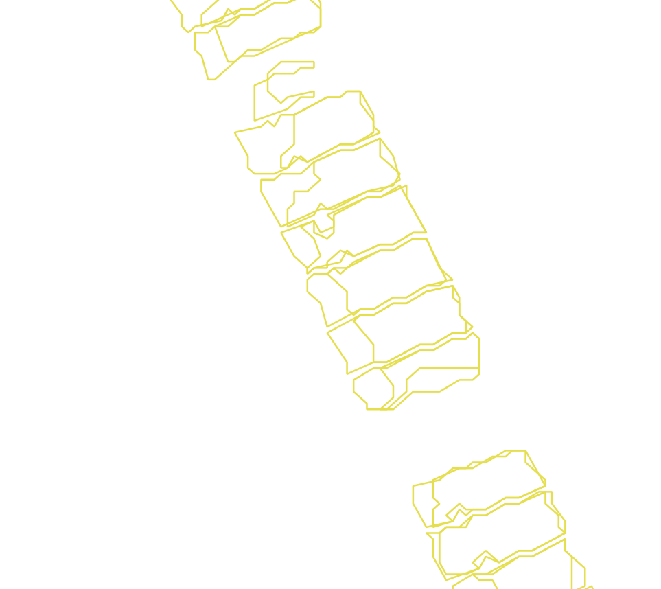 Daksegment met contourlijnen en structuurweergave