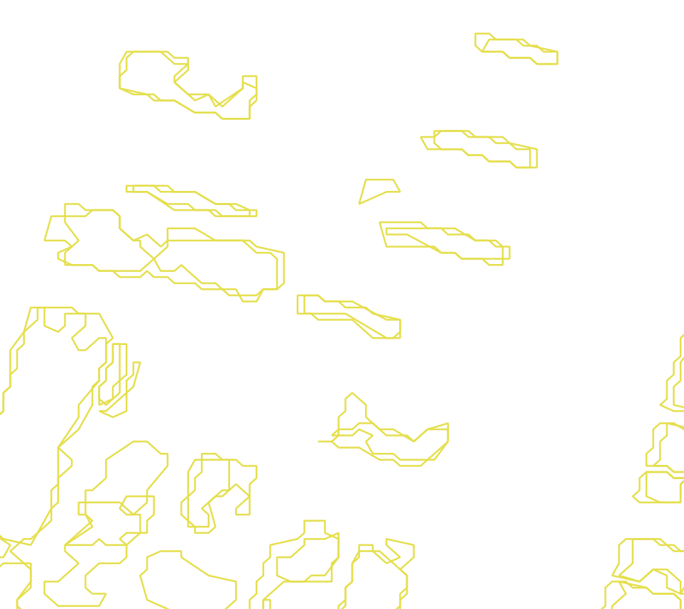 Daksegment met contourlijnen en structuurweergave